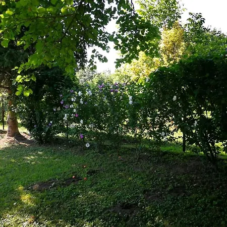 Bibi Apartamento